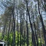 караваната на морето مكان تخييم *