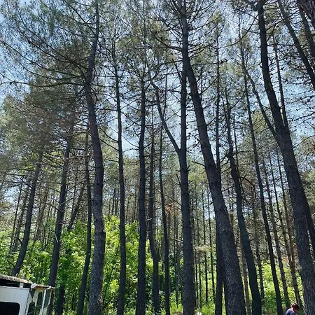 караваната на морето Campingplads *