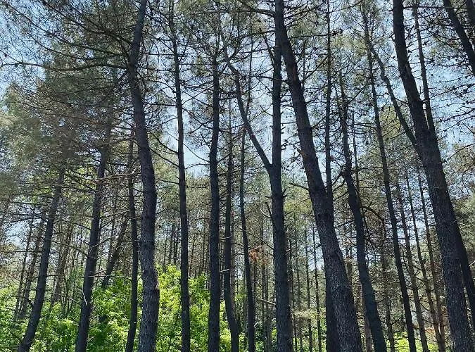 Караваната На Морето مكان تخييم *